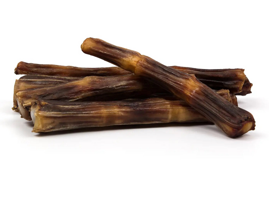 Queue de bœuf séchée pour chien